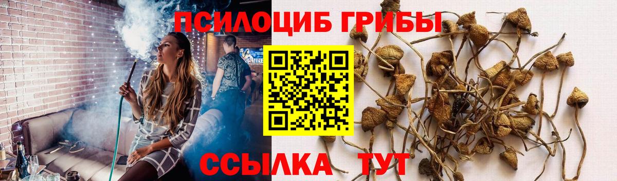Псилоцибиновые грибы Psilocybine cubensis  Псилоцибиновые грибы мухоморы  Вход с VPN  Серов 